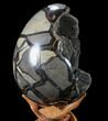 Septarian Dragon Egg Geode - Black Crystals #89675-2